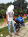 Gixxer carburetor version 2022